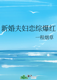 新婚夫妇恋综爆红