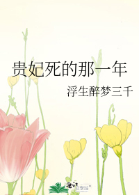 贵妃死的那一年