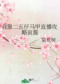 我靠二五仔马甲直播攻略哀酱