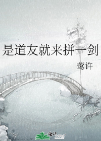 是道友就来拼一剑