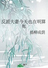 反派夫妻今天也在明算账