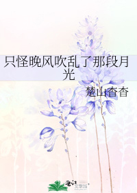 只怪晚风吹乱了那段月光