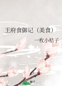 王府食御记（美食）