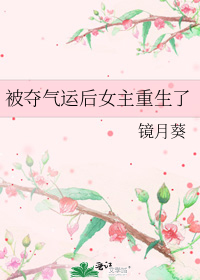 被夺气运后女主重生了