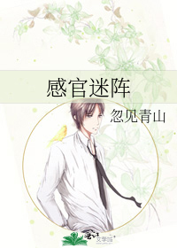 感官迷阵