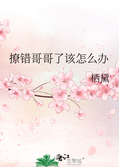 撩错哥哥了该怎么办