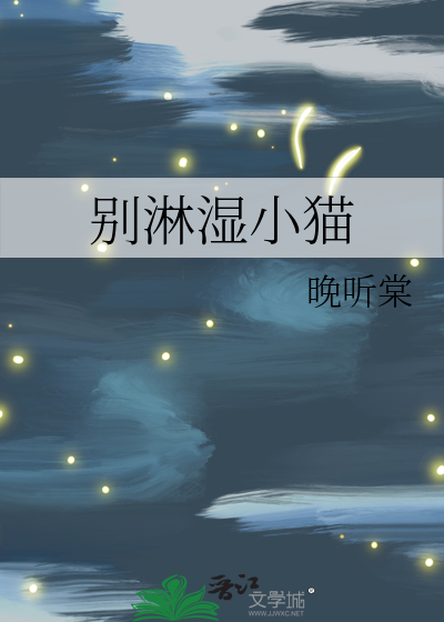 别淋湿小猫