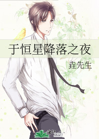 于恒星降落之夜