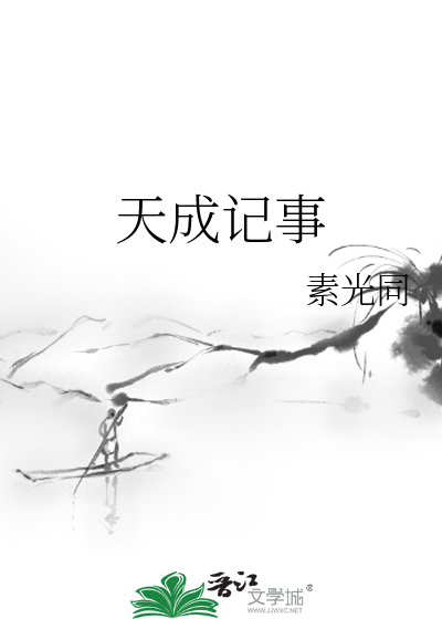 天成记事