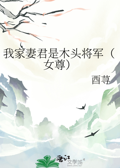 我家妻君是木头将军（女尊）