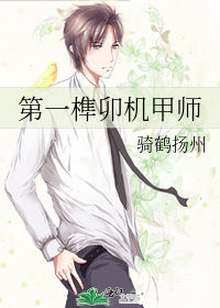 第一榫卯机甲师