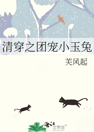 清穿之团宠小玉兔