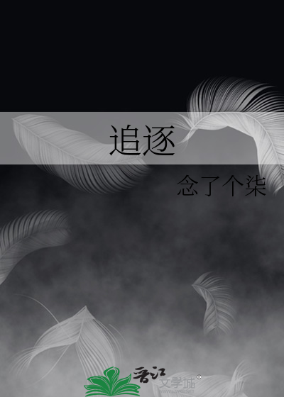追逐