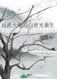 反派大佬的白月光重生了
