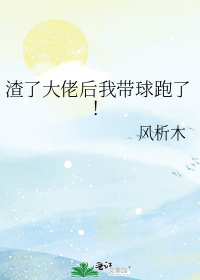 渣了大佬后我带球跑了！