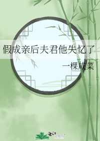 假成亲后夫君他失忆了