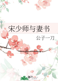 宋少师与妻书
