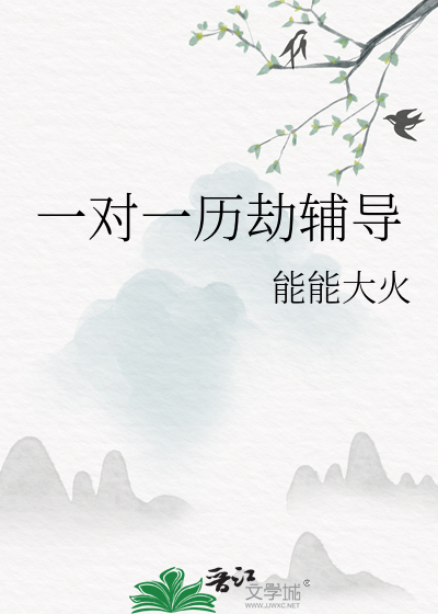 一对一历劫辅导