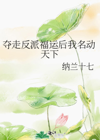 夺走反派福运后我名动天下