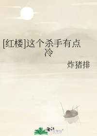[红楼]这个杀手有点冷