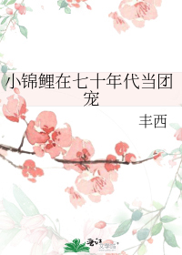 小锦鲤在七十年代当团宠
