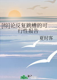 [综]论反复跳槽的可行性报告