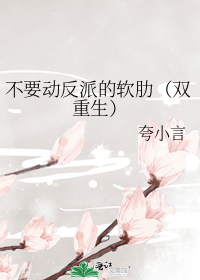 不要动反派的软肋（双重生）