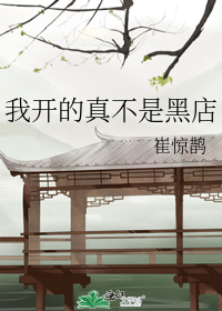 我开的真不是黑店