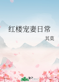 红楼宠妻日常