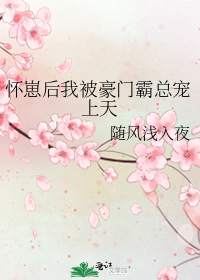 怀崽后我被豪门霸总宠上天