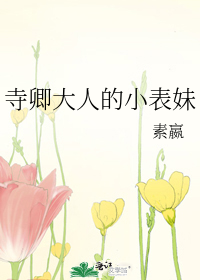 寺卿大人的小表妹