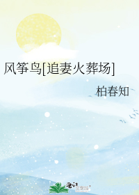风筝鸟[追妻火葬场]