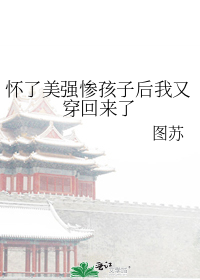 怀了美强惨孩子后我又穿回来了